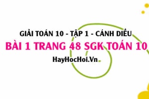 Giải bài 1 trang 48 Toán 10 Tập 1 SGK Cánh Diều